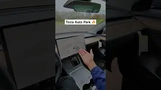 Tesla Auto Park is insane 🔥! #teslamodel3 #teslaautopilot
