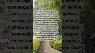 3 септември 2024 г.