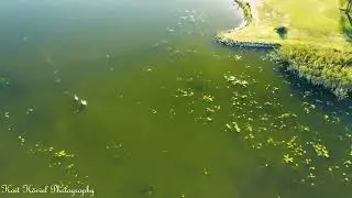 Sügis hakkab jõudma ka Võrumaale! (DJI Mavic 3 Classic)