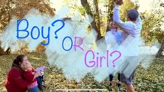 Baby 2 Gender Reveal