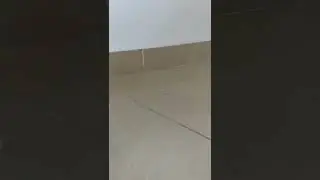 Самовар на дровах