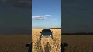 На этот летний ваиб
