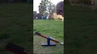 Playing With Our Dogapult - Made By Toby's Dog Toys!
