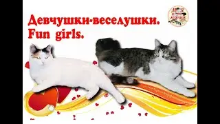 Девчушки-веселушки. Fun girls.