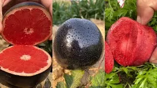Farm Fresh Ninja Fruit Cutting Oddly Satisfying Fruit Cutting #3