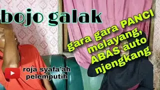 bojo galak