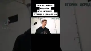 ВОТ ПОЧЕМУ ЕГОРИК УШЁЛ С КАНАЛА А4 