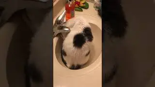 из крана капает