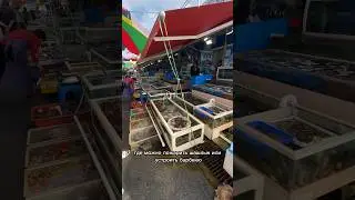 Где отдыхают корейцы 