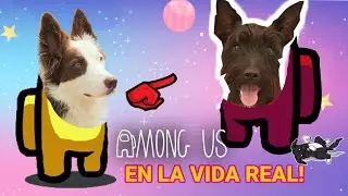 AMOUNG US en la VIDA REAL nuestras mejores partidas / Lana y Mel