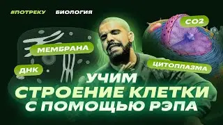 Рэп про СТРОЕНИЕ КЛЕТКИ | Биология ЕГЭ-2025 | «Репетиторская империя»