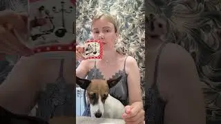 Завтрак с питомцами. #джекрасселтерьер #jackrussellterrier #сирийскийхомяк #syrianhamster
