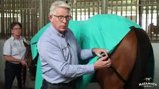 Matamata Saddlery New Zealand