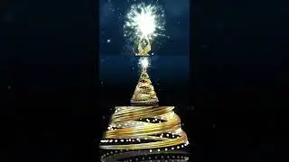 Новорічна ніч на каналі VCTV  