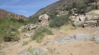 The Travels and Exploring of Charles J. Martin (BagerCreek Hike)