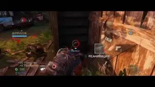 Highlights