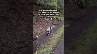 We searched for 3 days & started losing hope then there he was standing in the road 
