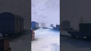 spinning bassotto