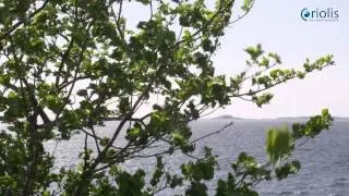 ocean power and renewable energy - Coriolis AS