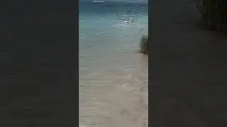 VID 20220809 WA0002