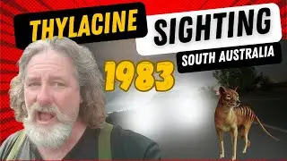 Thylacine sighting, 1983, upper South-east of South Australia with John McConville.