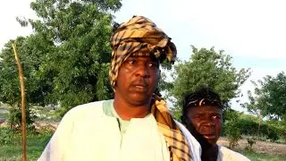Bosho tv (Bosho sarkin mayu)