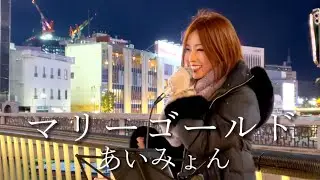 Kinuyo【マリーゴールド／あいみょん】2023.12.23