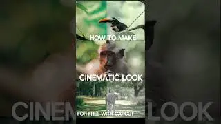 READ THE CAPTION ⚠️  #cinematicvideo #colorgrading #travel #cinematiccity #cinematicphoto