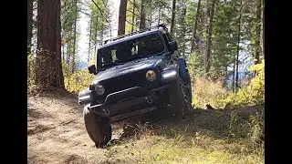 Review of 2024 Jeep Sport S 4XE in the woods.