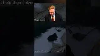 I Called My Heli!