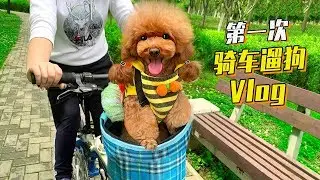 The hostess took the dog on a green trip, so happy that she didn't want to go home!
