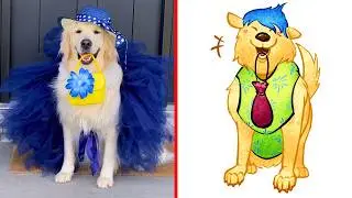 This DOG looks just like JOY from Inside Out 2 😂 Cat Memes