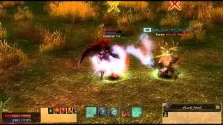 Silkroad   PvP  [Revenger of China]
