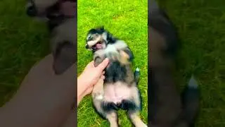 Tickle tickle 😂