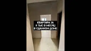Квартира за 8.000₽/мес в 15 мин от центра Краснодара #квартирывкраснодаре #домнаюге #жильенаюге
