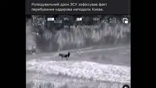 Кадыров (Хон Гиль Дон)