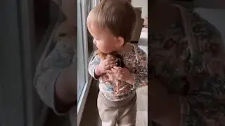 Детки