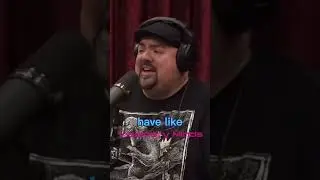 Joe Rogan On LA’s Homeless Crisis ⛺️ #joerogan #joeroganpodcast #losangeles