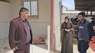 Partner's participation in the sale of the farm. Taiba is tired and weak.