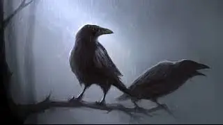 Black Crows For Live Rap
