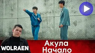 АКУЛА НАЧАЛО | Краткий Пересказ | Wolraen
