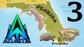 South Florida Herping Part 3