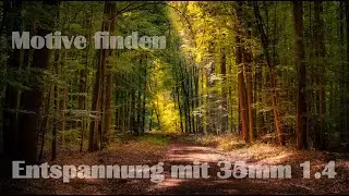 Landschaftsfotografie | Entspannung mit 35mm - Motive finden & sehen - Waldfotografie