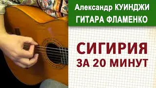 Испанская гитара фламенко | Сигирия за 20 минут (Не ДиДюЛя) | Seguiria Compas
