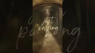Fleesh - Streets of Life (Official Video)