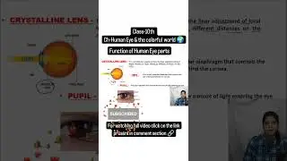 Function of crystalline lens in human eye image formation #humaneyeandcolorfulworld #learnscimathics