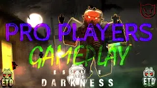 Roblox Escape The Darkness The Pro Players In The Game