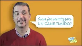 TUTORIAL BAU BOYS - Come far socializzare un cane timido?