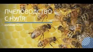 ПЧЕЛОВОДСТВО учебный кинокурс СССР 1969 г. СК