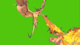 Flying dragon Green Screen 4k